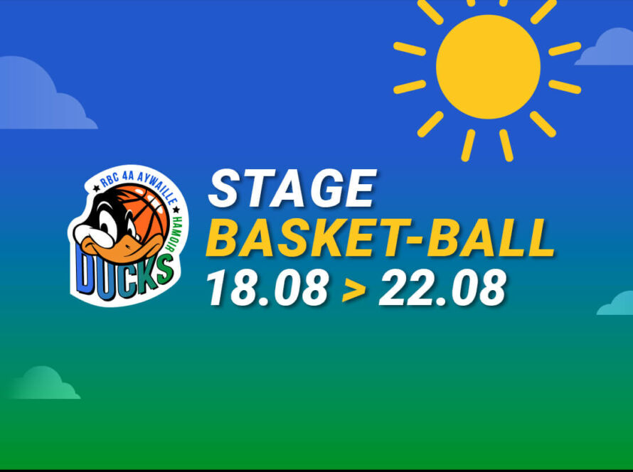 Stage Basketball été